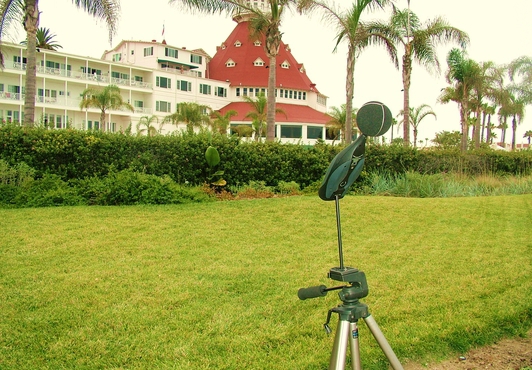 Del Coronado Hotel